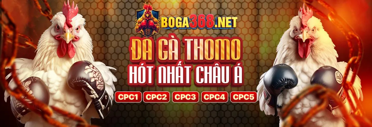 Cá cược thể thao đa ga 88